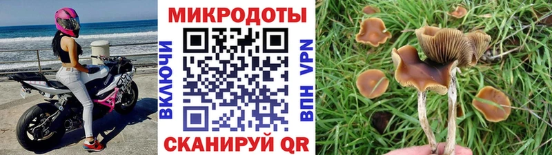 купить наркоту Плёс Псилоцибиновые грибы MAGIC MUSHROOMS